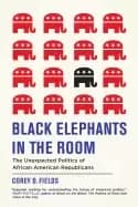 black elephants in the room the unexpected politics of african american rep
