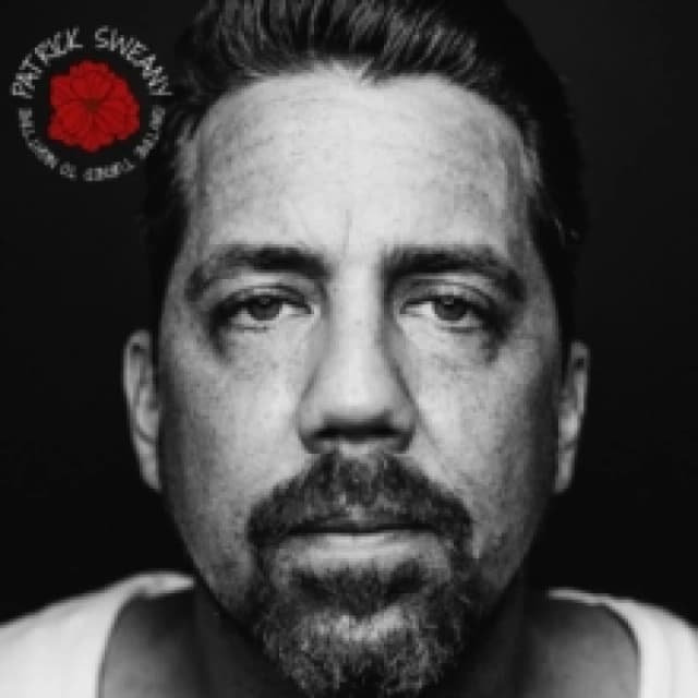 Patrick Sweany - Daytime Turned to Nighttime (Music CD) Music CDs - Music CD