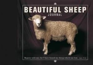 Beautiful Sheep Journal Paperback