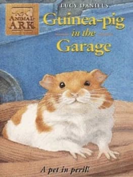 Guinea-Pig in the Garage by Lucy Daniels Paperback
