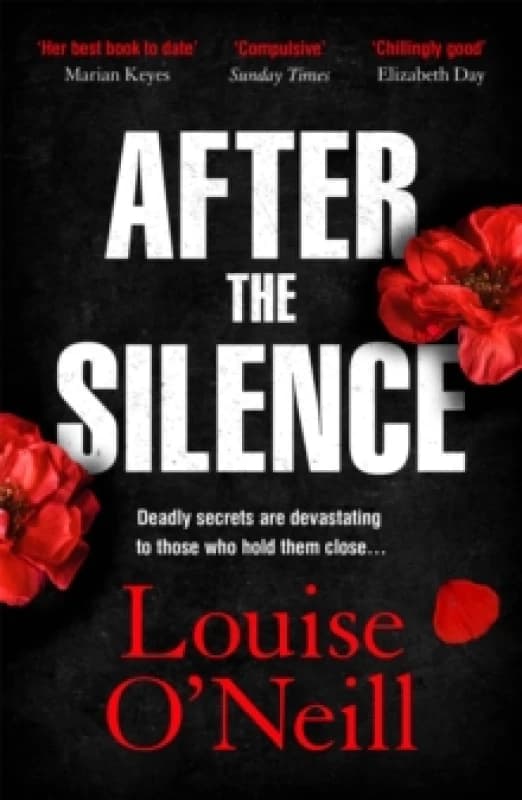 After the Silence : The An Post Irish Crime Novel of the Year Paperback / softback