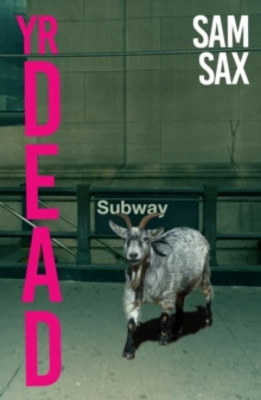 Yr Dead Paperback / softback