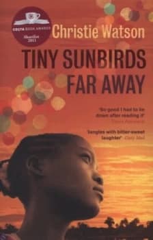 Tiny Sunbirds Far Away by Christie Watson Paperback