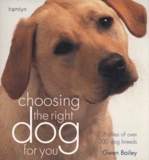 Choosing the Right Dog for You by Gwen Bailey Paperback