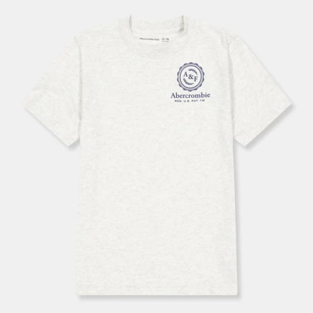 Abercrombie and Fitch Kids T-Shirt Light Grey GH3 male 15-16Y