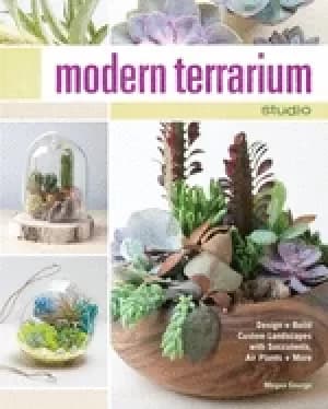 modern terrarium studio design build custom landscapes with succulents air