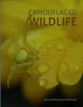 Camouflaged Wildlife by Joe Mcdonald Hardback