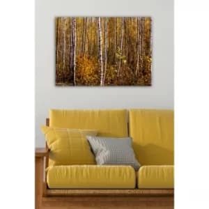 1538462351-5070 Multicolor Decorative Canvas Painting