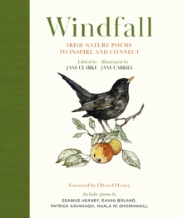 Windfall : Irish Nature Poems to Inspire and Connect Hardback