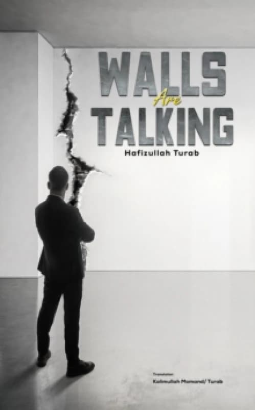 Walls Are Talking Paperback / softback