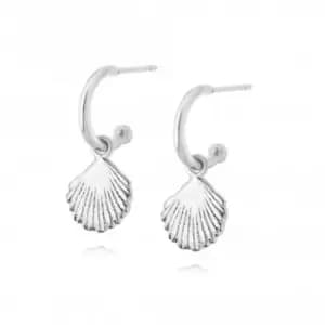 Isla Shell Drop Sterling Silver Earrings SE06_SLV