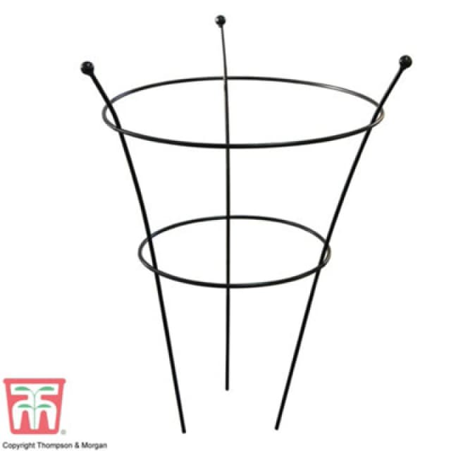 Garden Gear Peony Frame Outdoor Heavy Duty Herbaceous Garden Plant Support Ring For Perennial Flowers Border Cage (2 X Peony Frame)