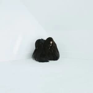 Chelsea Wolfe - Hiss Spun Vinyl
