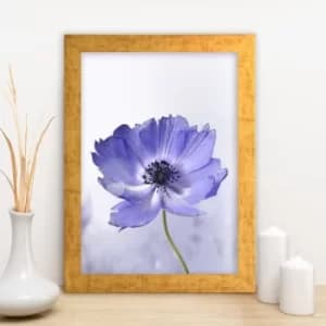 AC1680333023 Multicolor Decorative Framed MDF Painting