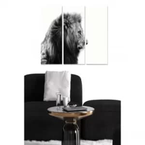 MDF199109744 Multicolor Decorative MDF Painting (3 Pieces)