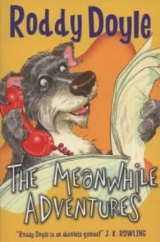 The Meanwhile Adventures by Roddy Doyle Paperback