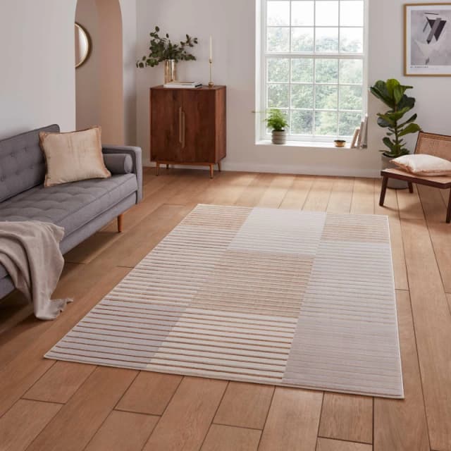 Ombre Striped Patterned Rug