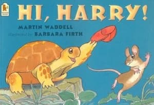 Hi Harry by Martin Waddell and Barbara Firth Paperback
