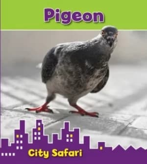 Pigeon by Isabel Thomas