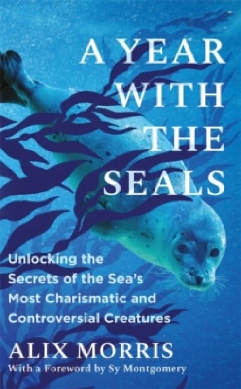 A Year with the Seals : Unlocking the Secrets of the Sea's Most Charismatic and Controversial Creatures Hardback