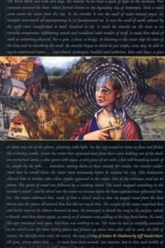 City of Saints and Madmen by Jeff Vandermeer Book