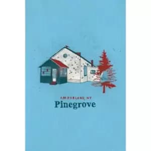 Pinegrove - Amperland, NY Vinyl