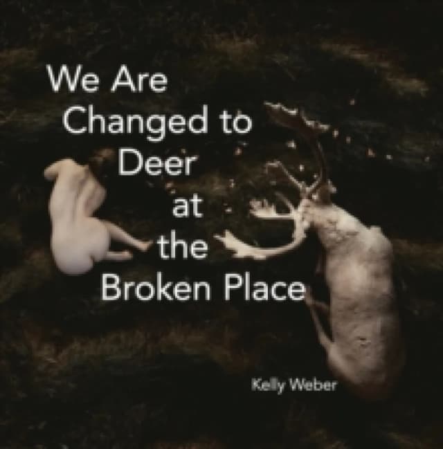 We Are Changed to Deer at the Broken Place Paperback / softback