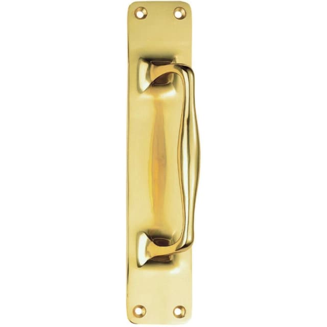 Loops One Piece Door Pull Handle on Backplate 297mm Length Polished Brass Metallics unisex