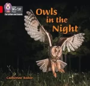 Owls in the Night by Catherine Baker