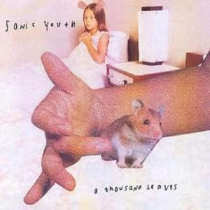 A Thousand Leaves by Sonic Youth CD Album