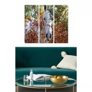 MDFFTR1019 Multicolor Decorative MDF Painting (3 Pieces)