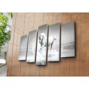 5PATK-19 Multicolor Decorative Canvas Painting (5 Pieces)