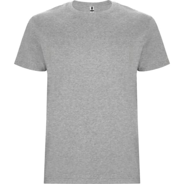 ROLY ROLY Men Stafford T-Shirt in Grey Size: Small Grey S Male 5063527412201