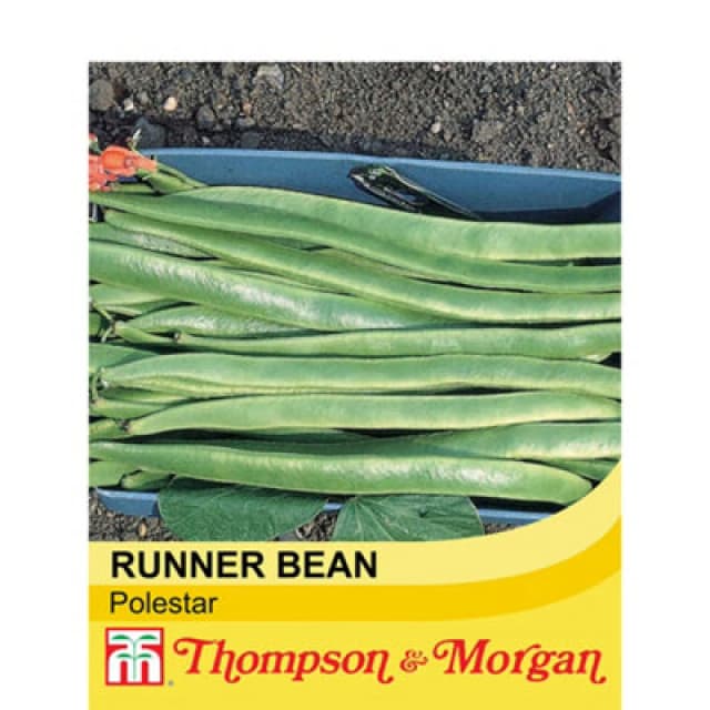 Thompson & Morgan Runner Bean Polestar 1 Seed Packet (40 Seeds)