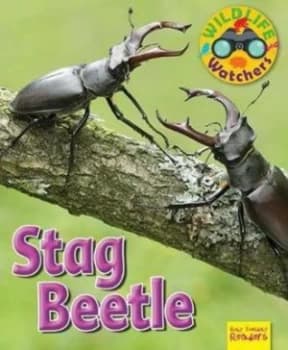 Wildlife Watchers Stag Beetle 2017 by Ruth Owen Paperback