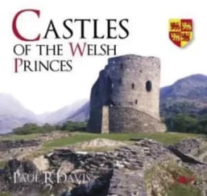 Castles of the Welsh princes by Paul R. Davis