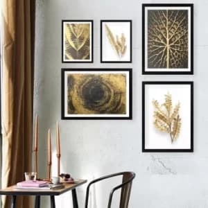 SET_009 Multicolor Decorative Framed Painting (5 Pieces)