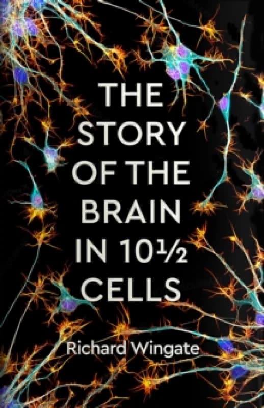 The Story of the Brain in 10 Cells Hardback