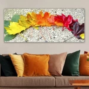 YTY474050998_50120 Multicolor Decorative Canvas Painting