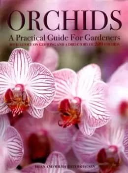 Orchids by Brian Rittershausen
