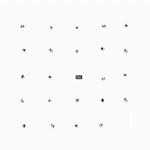 Durian Brothers / Ensemble Skalectrik - Split Series #22 Vinyl