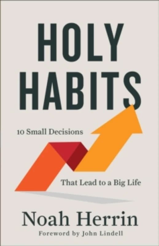 Holy Habits. Paperback. By Noah Herrin Books