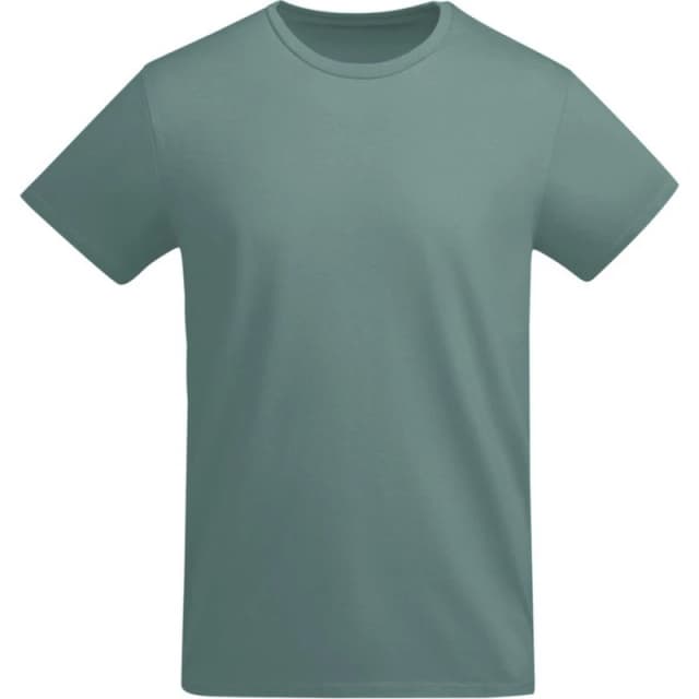 ROLY ROLY Men Breda Plain T-Shirt in Duck Egg Blue Size: Small Duck Egg Blue S Male 5063574398282