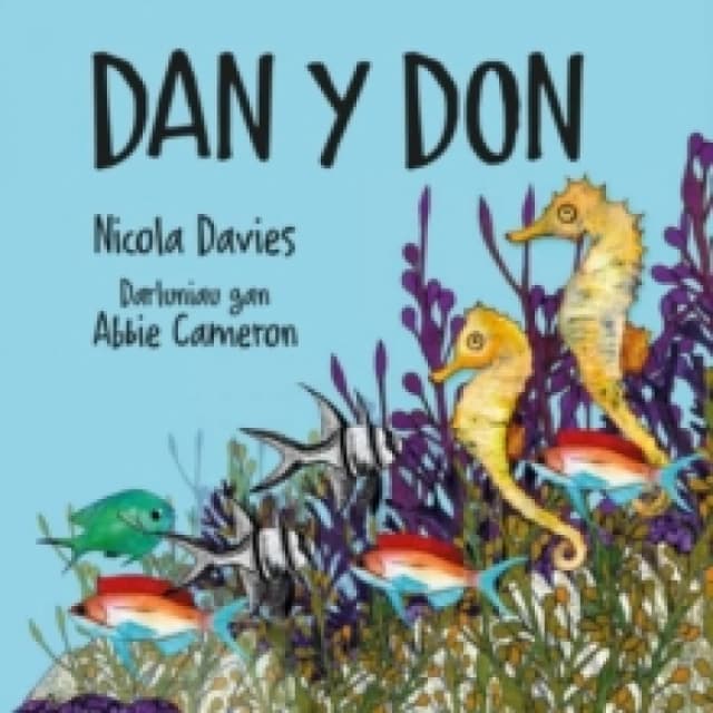 Dan y Don Paperback / softback