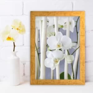 AC288791672 Multicolor Decorative Framed MDF Painting