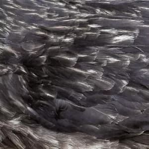 Arstidir by Arstidir CD Album