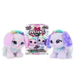 Present Pets Rainbow Fairy