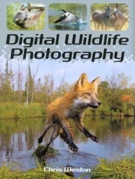 Digital Wildlife Photography by Chris Weston Hardback