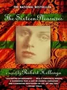 sixteen pleasures a novel