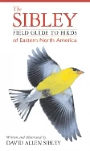 sibley field guide to birds of eastern north america